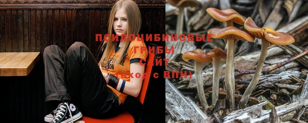мяу мяу мука Абаза